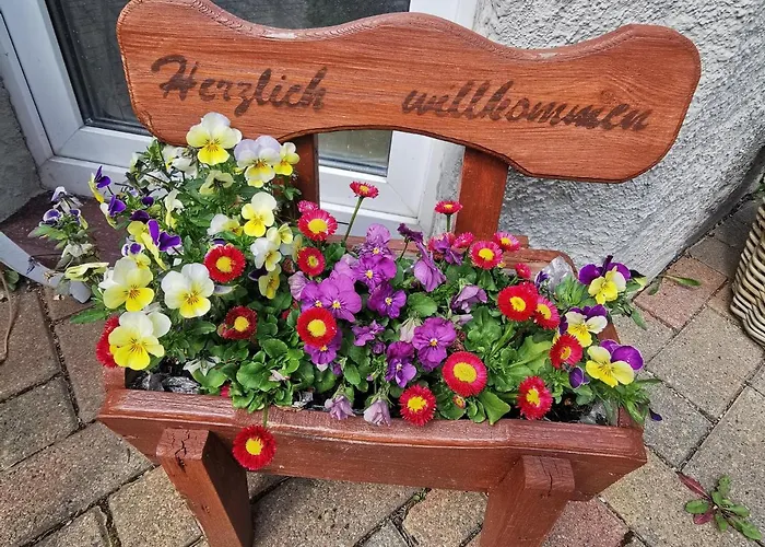 Mit Brockenblick Ginko Apartamento